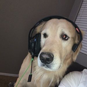 Meet your Posher, Kaleb